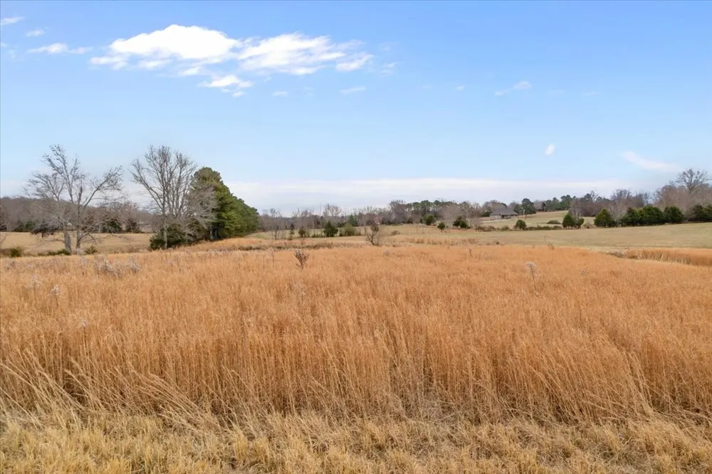 0 Polley Willey Rd Dickson, TN 37055