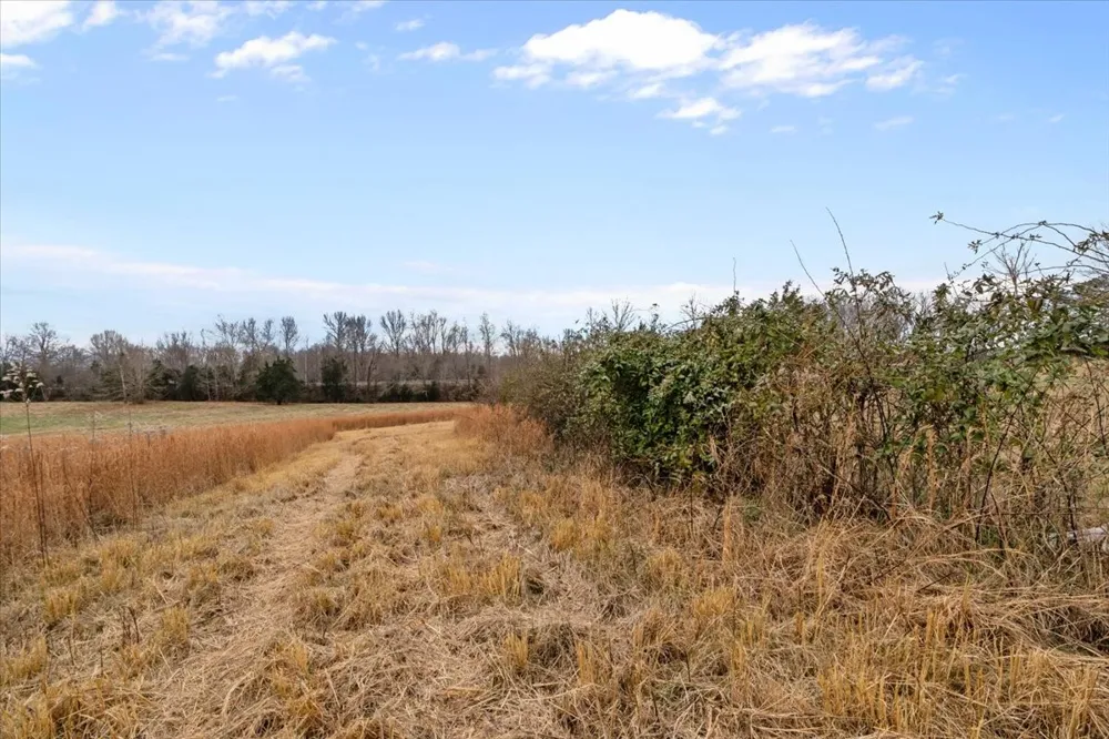 0 Polley Willey Rd Dickson, TN 37055