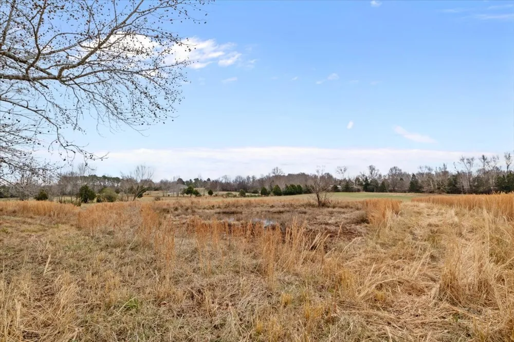 0 Polley Willey Rd Dickson, TN 37055