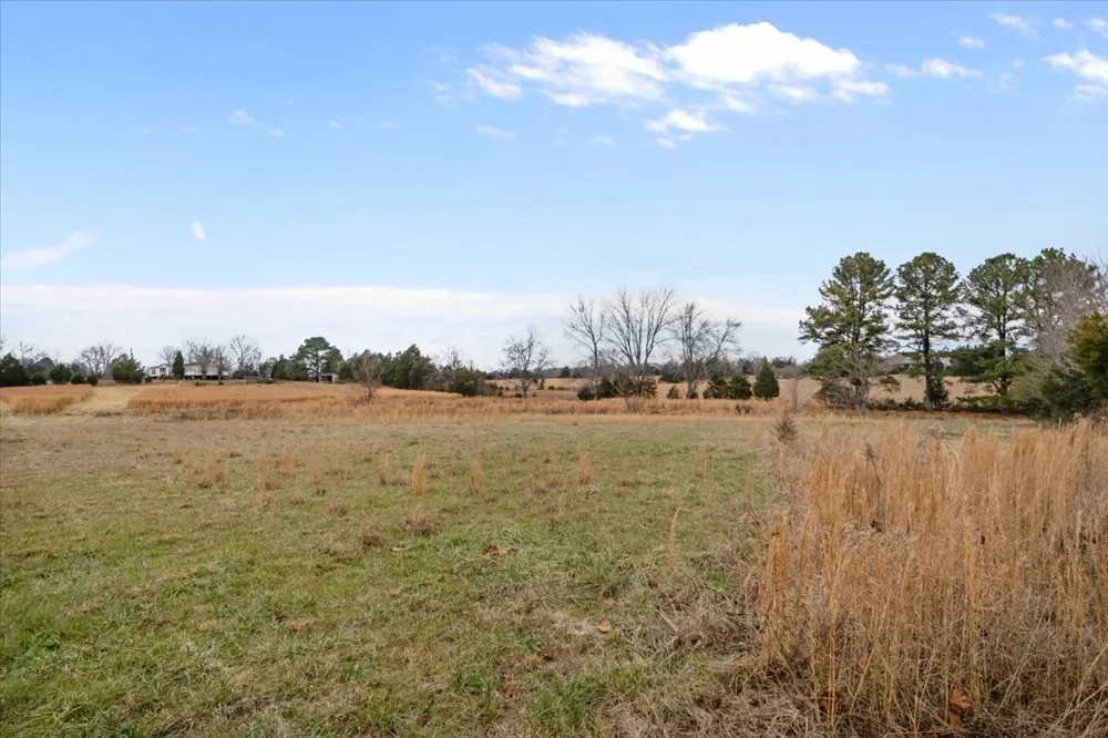 0 Polley Willey Rd Dickson, TN 37055