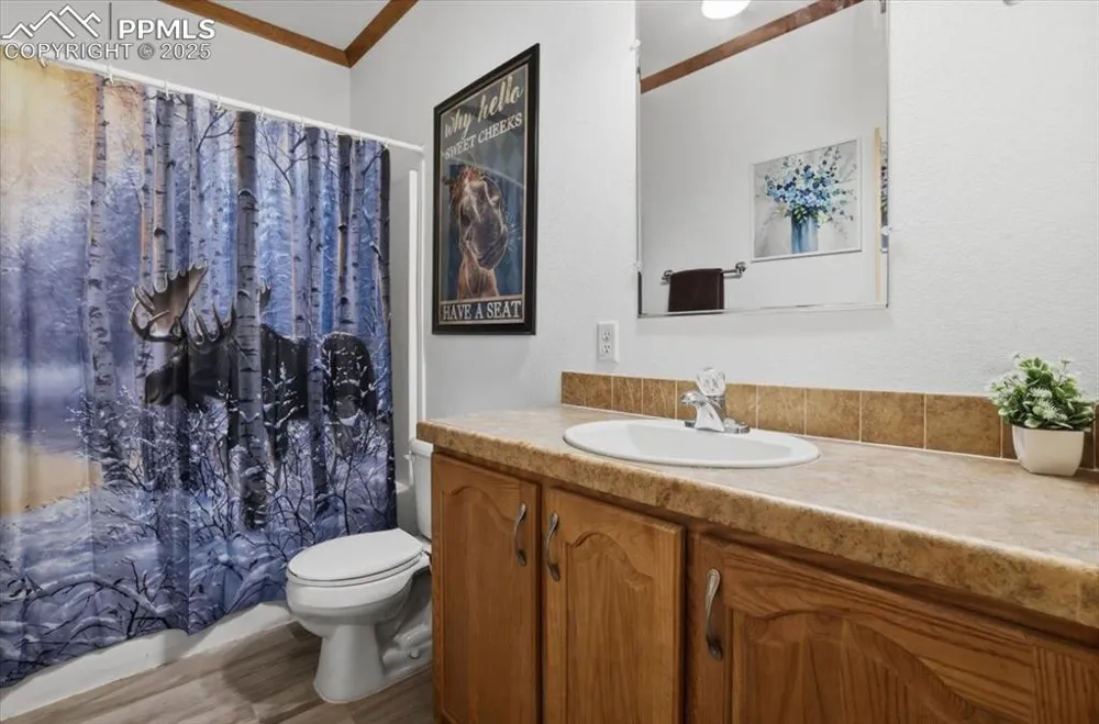 204 Crooked Creek Road Fairplay, CO 80440