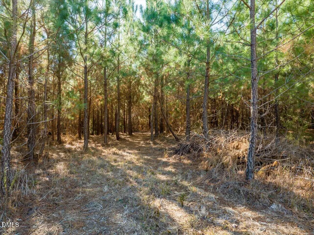 0 Will Brown Road Siler City, NC 27344