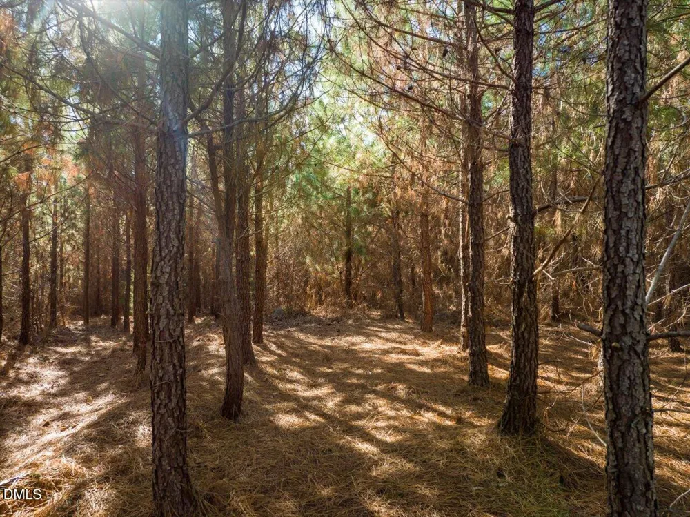 0 Will Brown Road Siler City, NC 27344