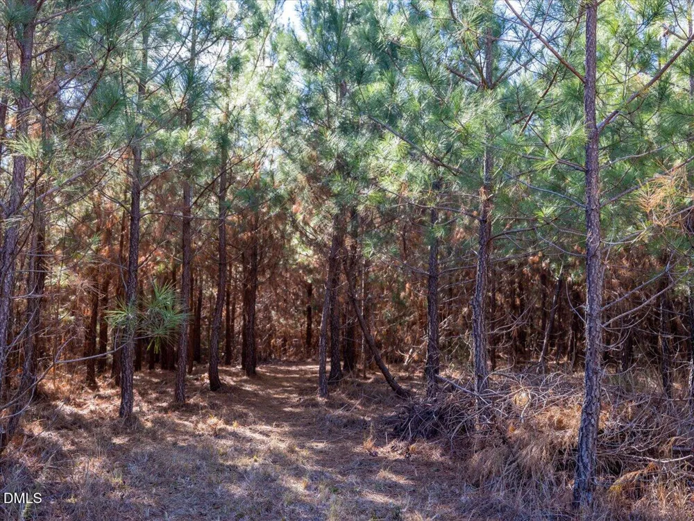 0 Will Brown Road Siler City, NC 27344