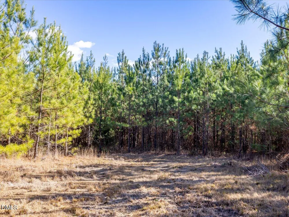 0 Will Brown Road Siler City, NC 27344
