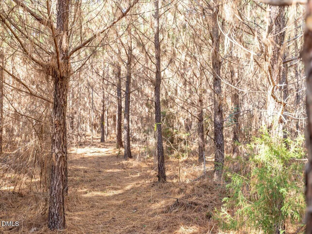 0 Will Brown Road Siler City, NC 27344