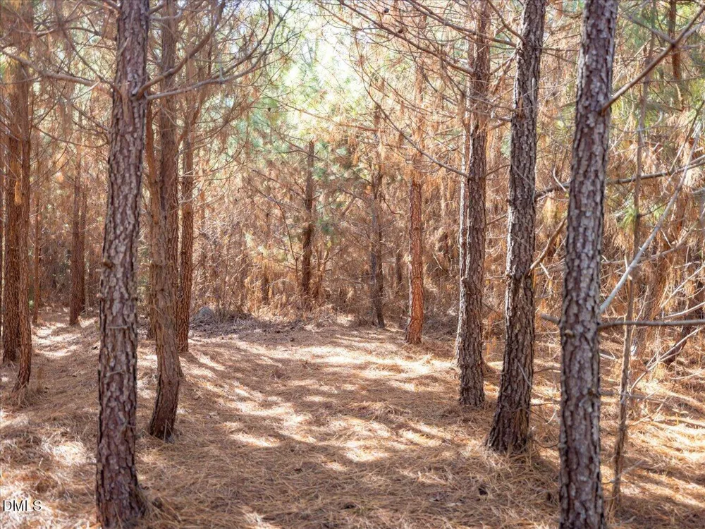 0 Will Brown Road Siler City, NC 27344