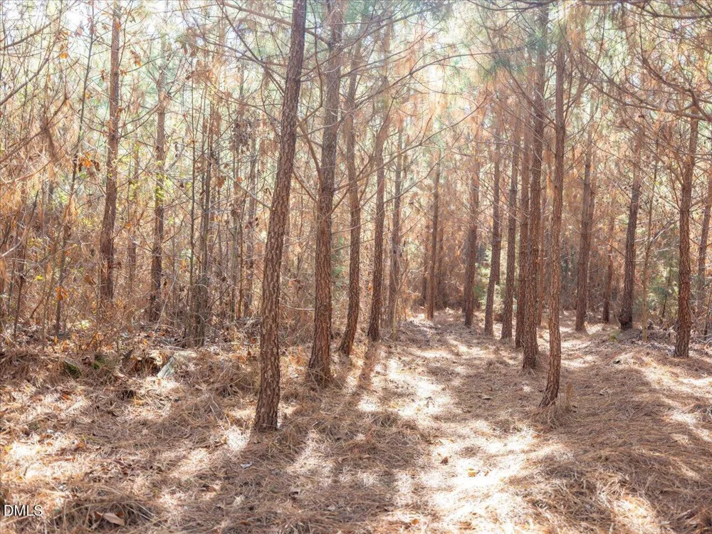 0 Will Brown Road Siler City, NC 27344