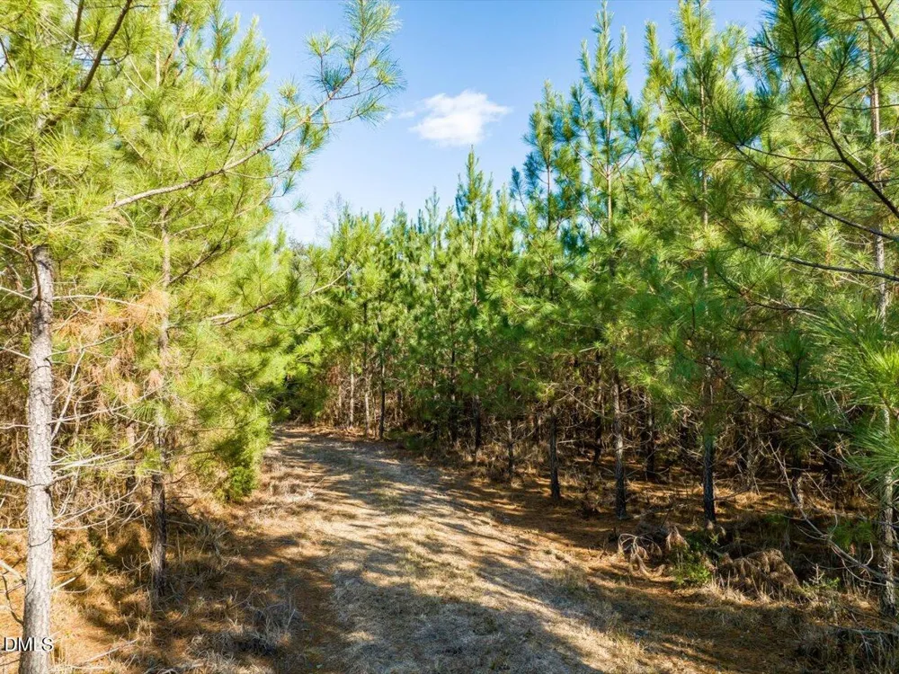 0 Will Brown Road Siler City, NC 27344