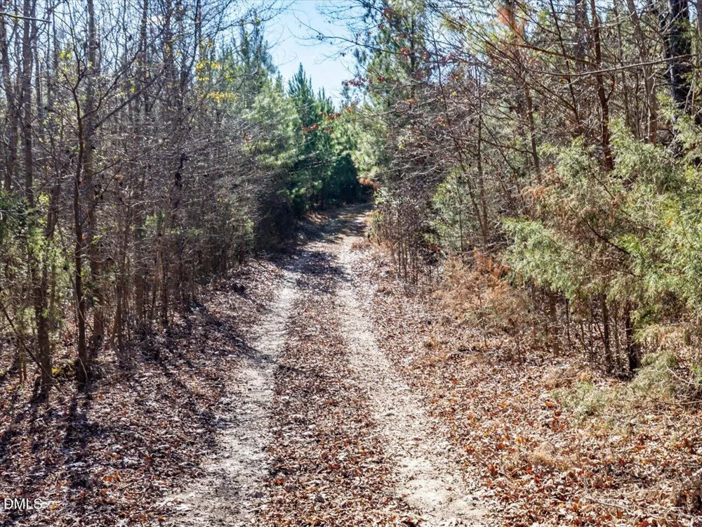 0 Will Brown Road Siler City, NC 27344