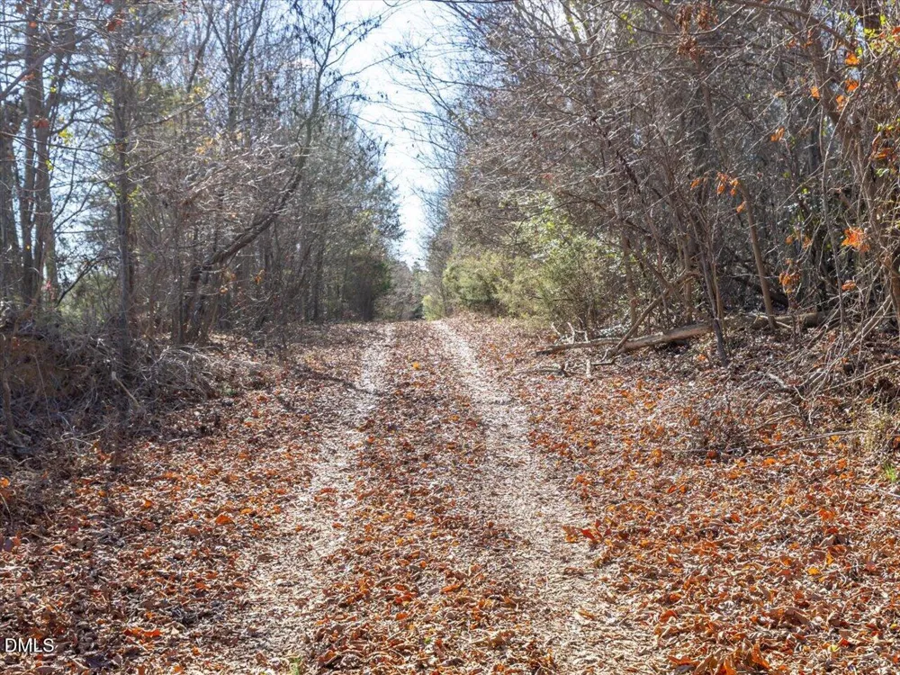 0 Will Brown Road Siler City, NC 27344