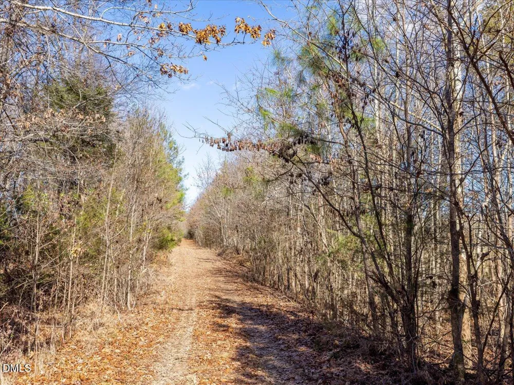 0 Will Brown Road Siler City, NC 27344
