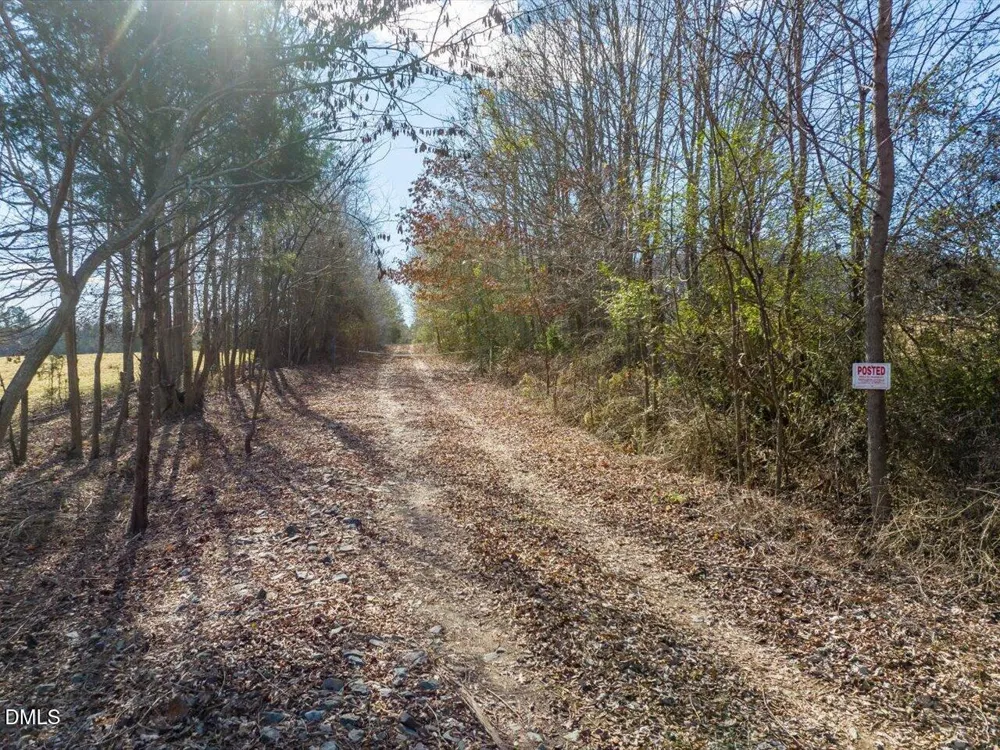 0 Will Brown Road Siler City, NC 27344