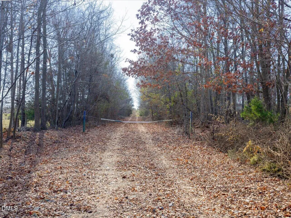 0 Will Brown Road Siler City, NC 27344