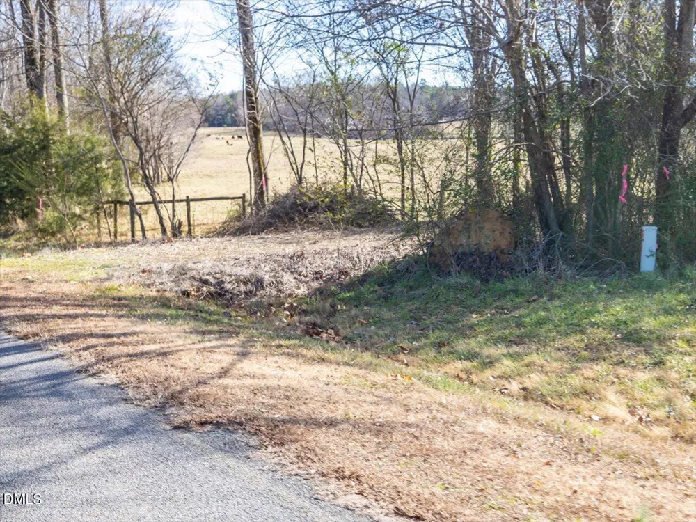 0 Will Brown Road Siler City, NC 27344