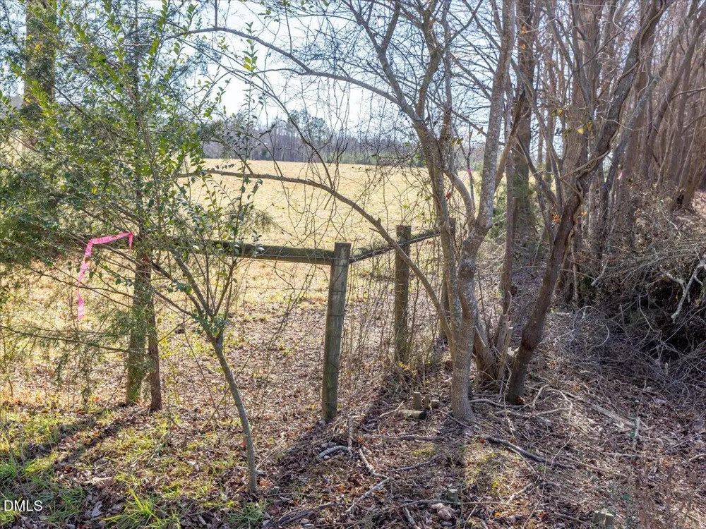 0 Will Brown Road Siler City, NC 27344