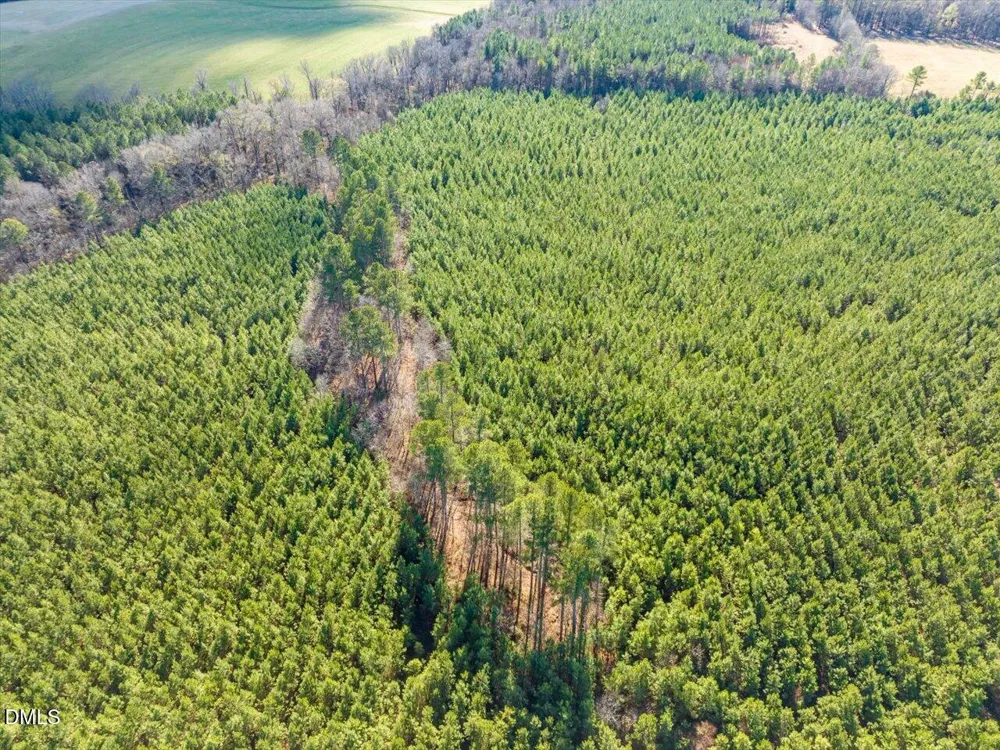 0 Will Brown Road Siler City, NC 27344
