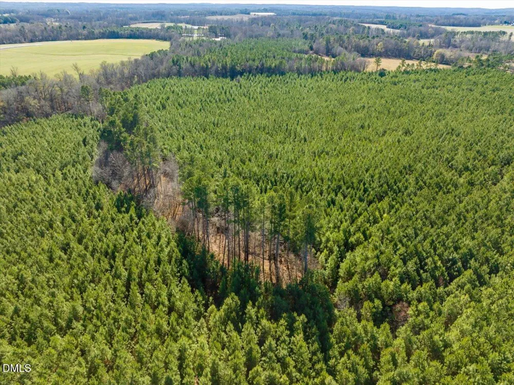 0 Will Brown Road Siler City, NC 27344