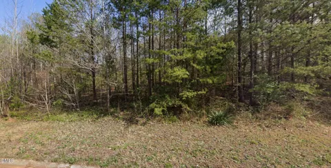 7411 Birchbend Lane