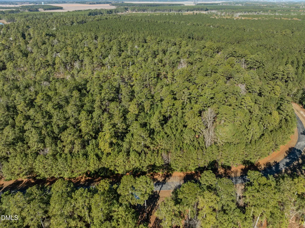 0 Bailey Pointe Road Belhaven, NC 27810