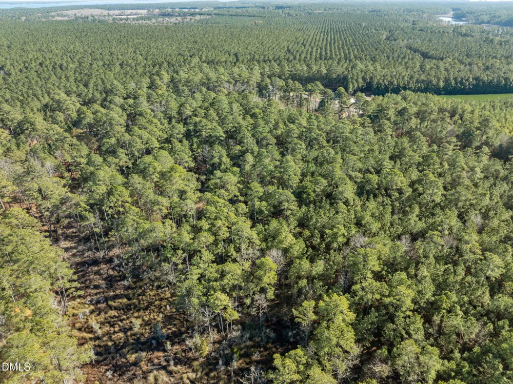 0 Bailey Pointe Road Belhaven, NC 27810