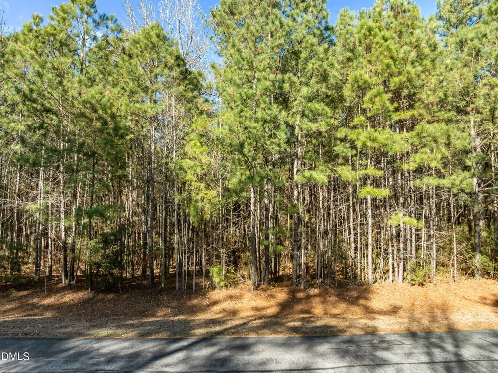 0 Bailey Pointe Road Belhaven, NC 27810