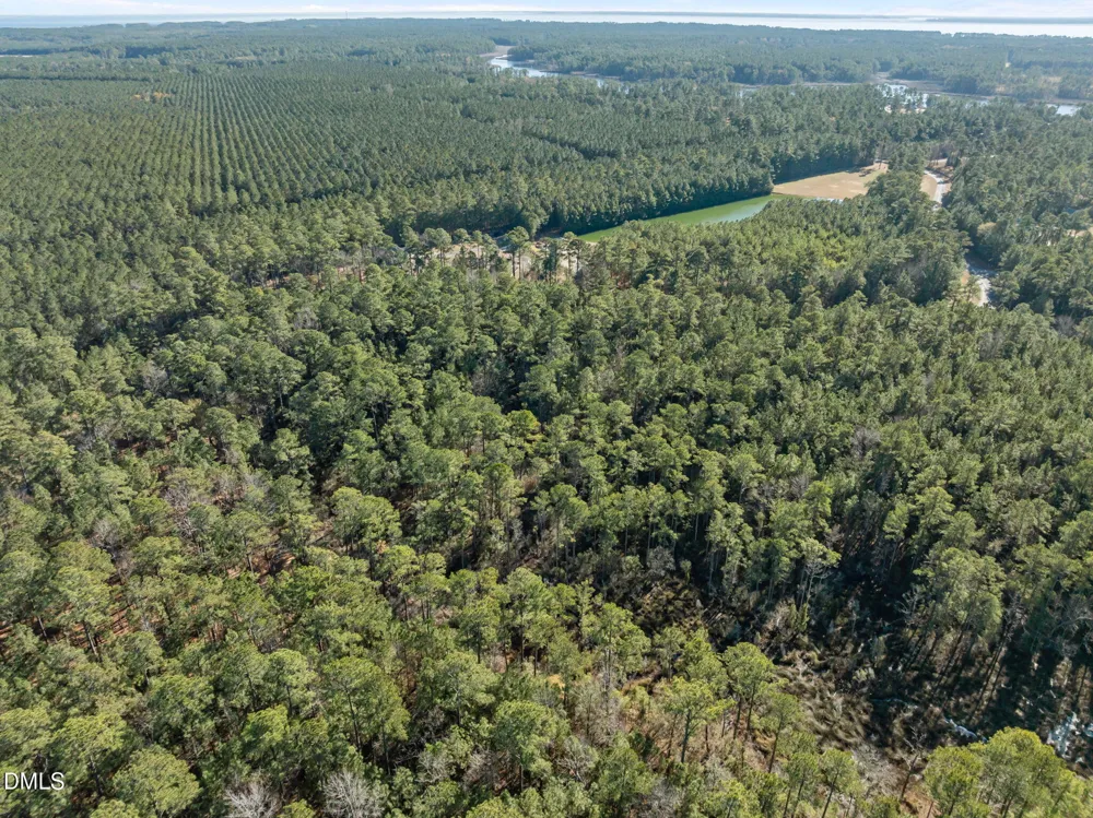 0 Bailey Pointe Road Belhaven, NC 27810