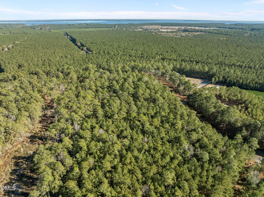 0 Bailey Pointe Road Belhaven, NC 27810
