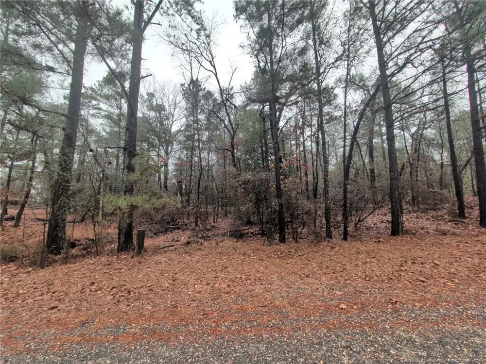 1211 Laurel Circle Vass, NC 28394