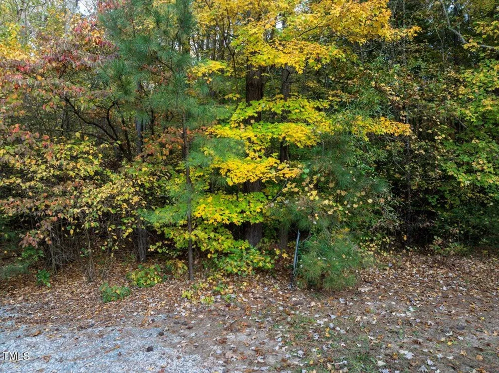4 S Owen Lane Littleton, NC 27850