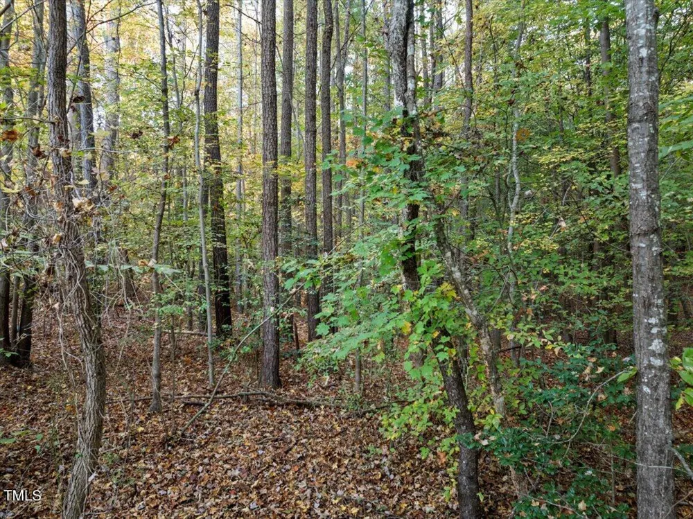 4 S Owen Lane Littleton, NC 27850
