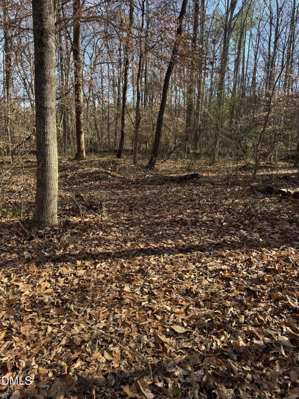 00 Matthews Drive Henderson, NC 27537