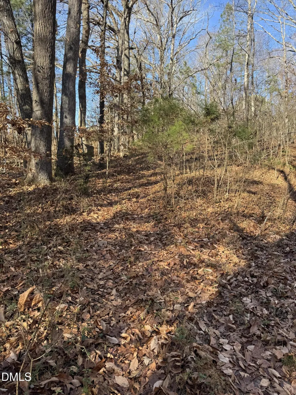 00 Matthews Drive Henderson, NC 27537