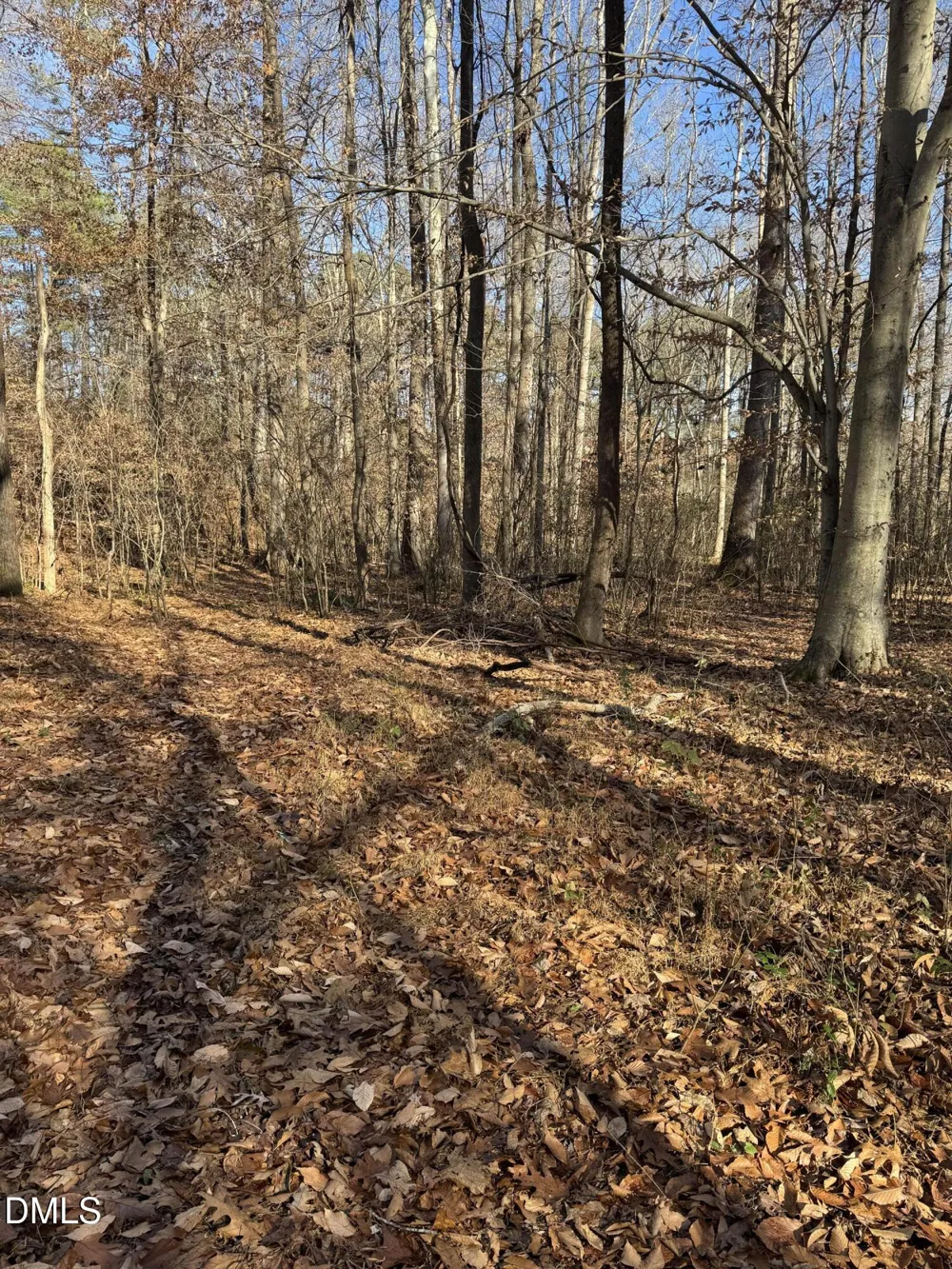 00 Matthews Drive Henderson, NC 27537