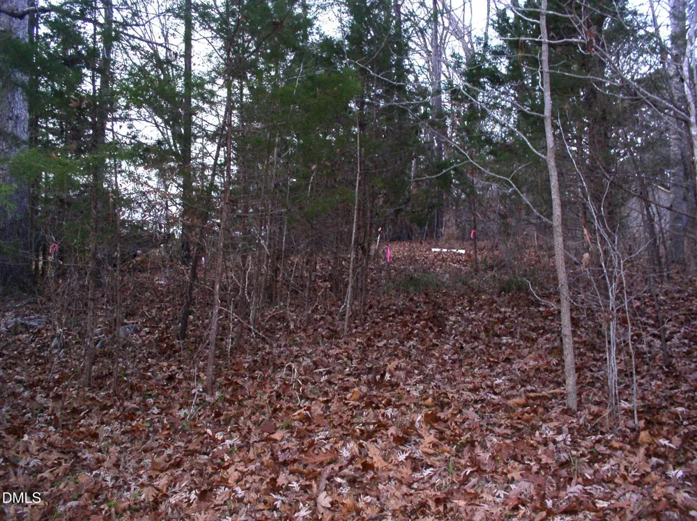 00 Matthews Drive Henderson, NC 27537