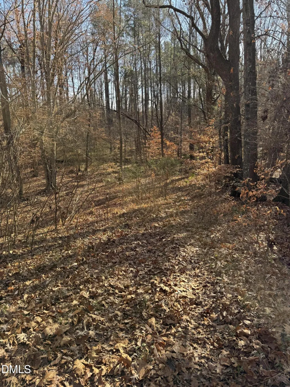 00 Matthews Drive Henderson, NC 27537