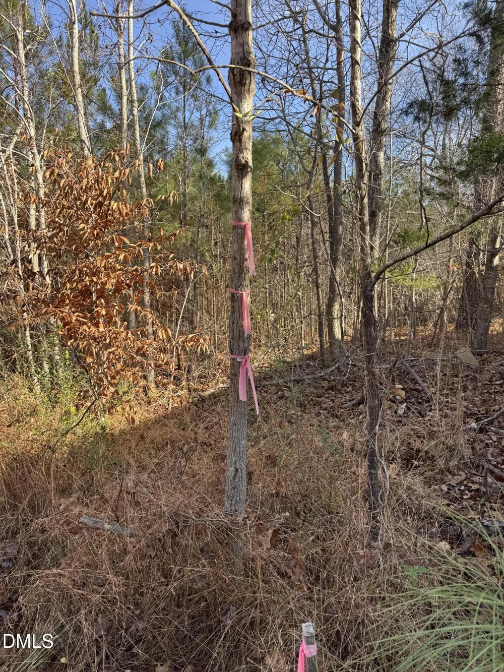 00 Matthews Drive Henderson, NC 27537
