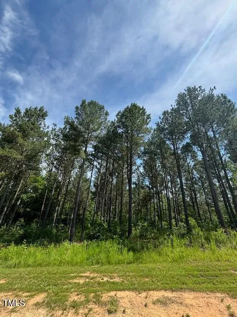 5 Pinnacle Shores Drive Macon, NC 27551
