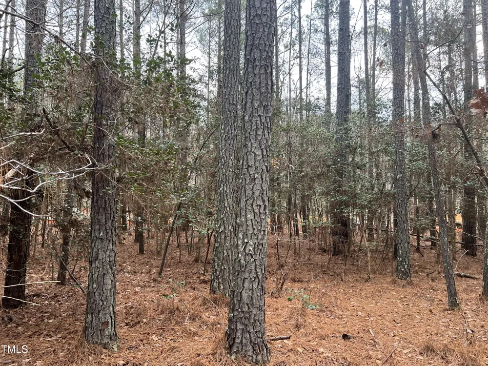 90 Anfield Road New Hill, NC 27562