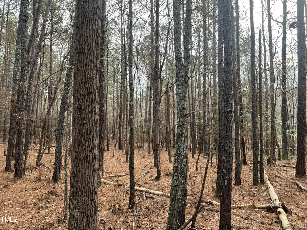100 Anfield Road New Hill, NC 27562