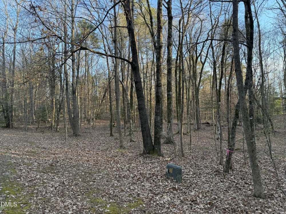 0 Woodland Rd. Littleton, NC 27850