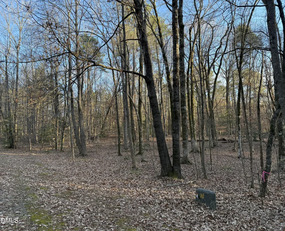 0 Woodland Rd. Littleton, NC 27850