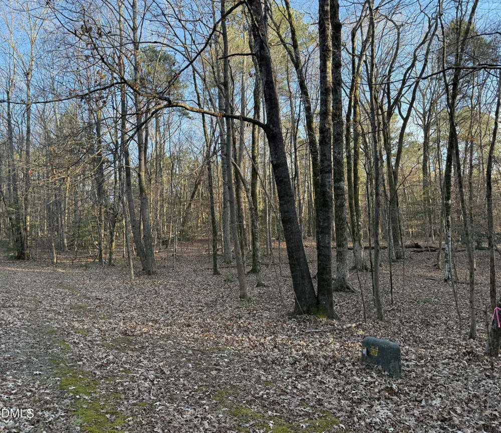 0 Woodland Rd. Littleton, NC 27850