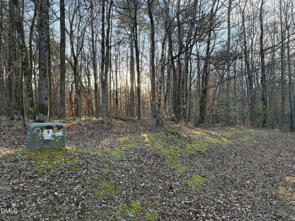 0 Woodland Rd. Littleton, NC 27850