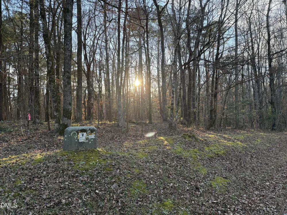 0 Woodland Rd. Littleton, NC 27850