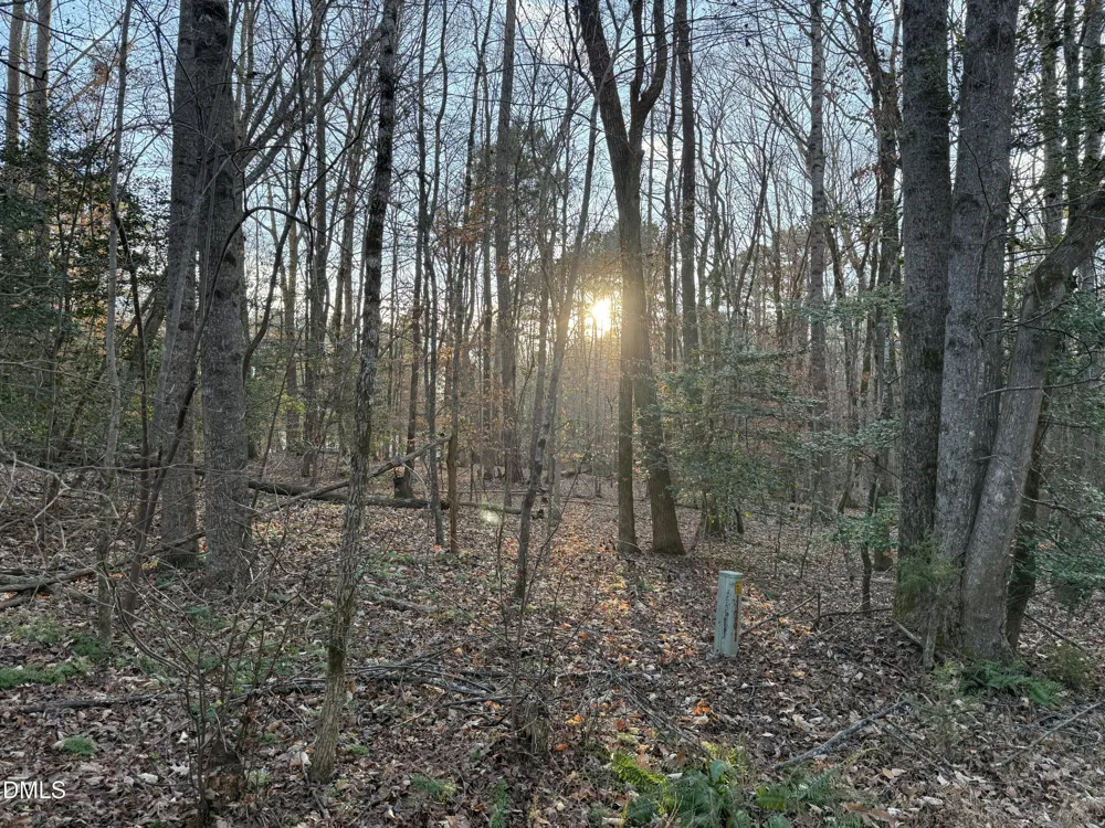 0 Woodland Rd. Littleton, NC 27850