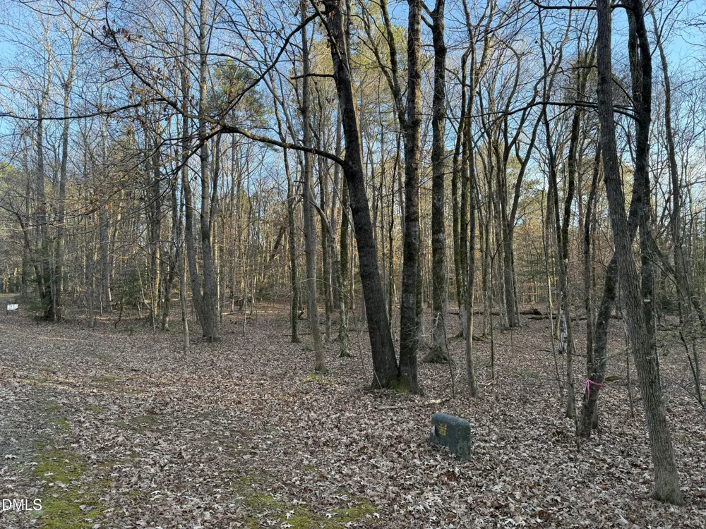 0 Woodland Rd. Littleton, NC 27850