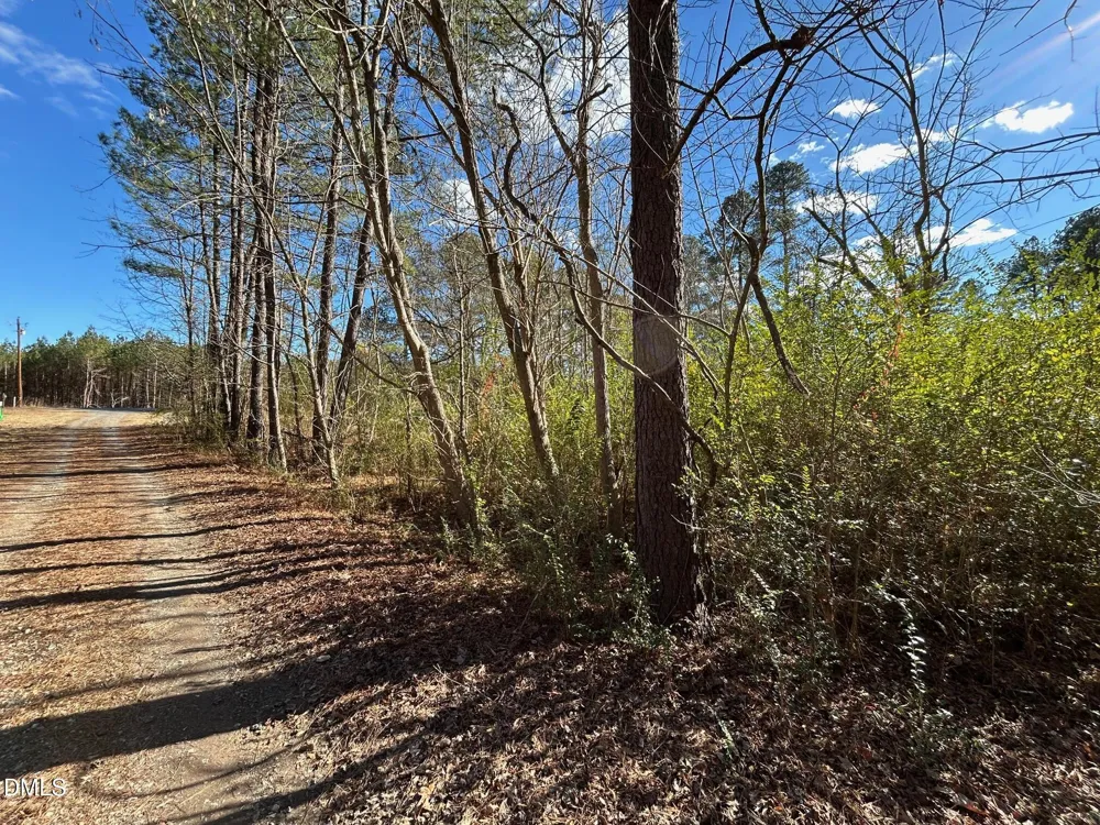523 New Elam Church Road Moncure, NC 27559