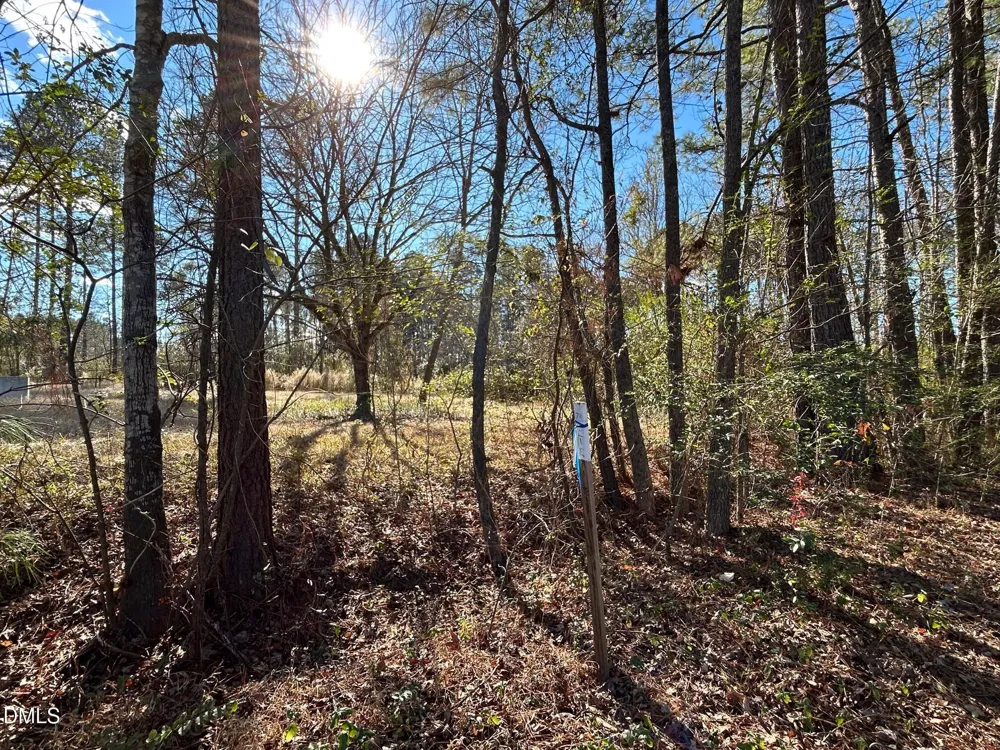 523 New Elam Church Road Moncure, NC 27559
