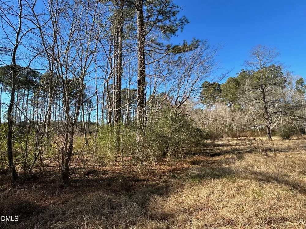 523 New Elam Church Road Moncure, NC 27559